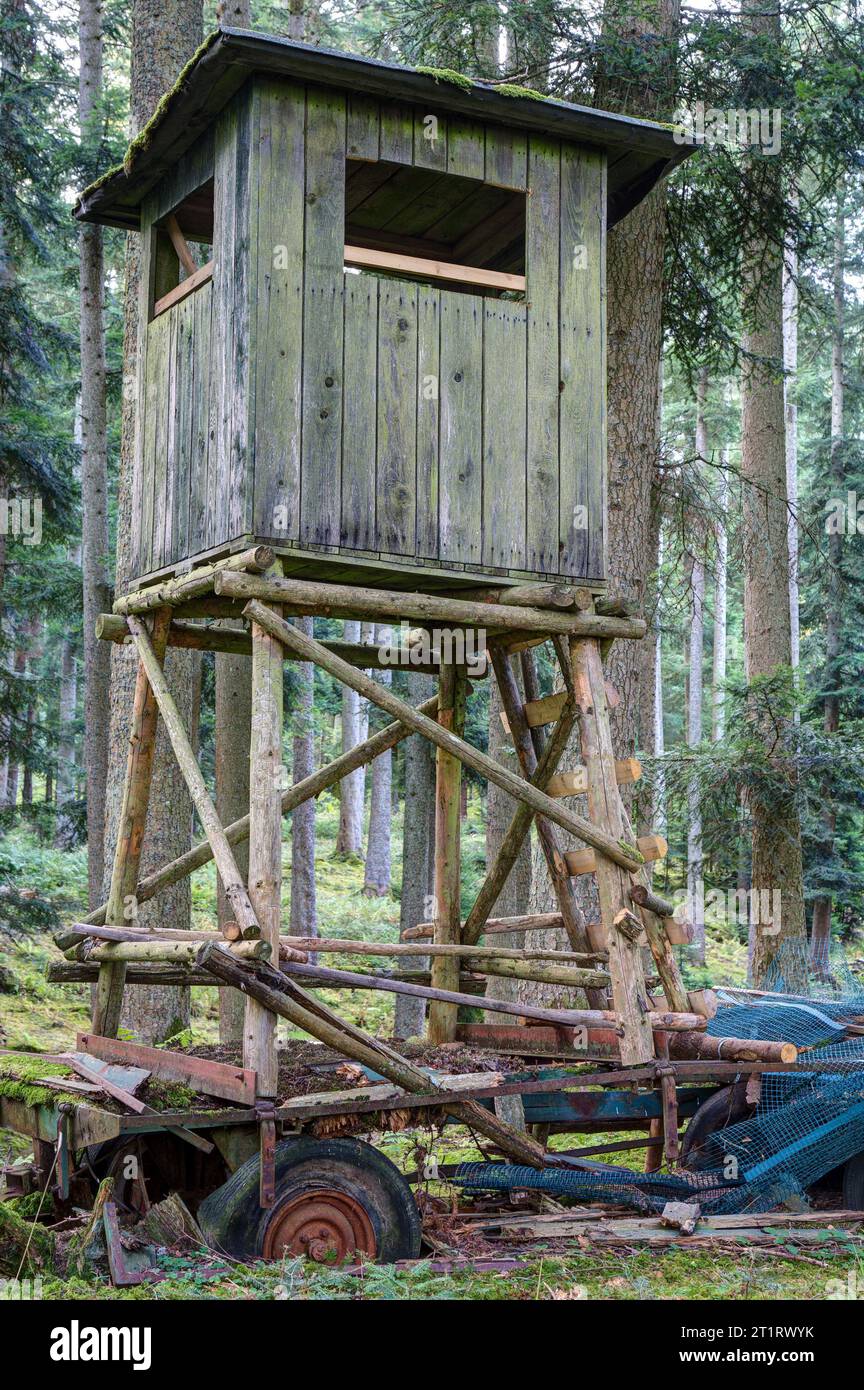 Stille Natur, baufälliger Charme. Verwitterte Kanzel im Wald, thront auf einem alten Wohnwagen. Stockfoto