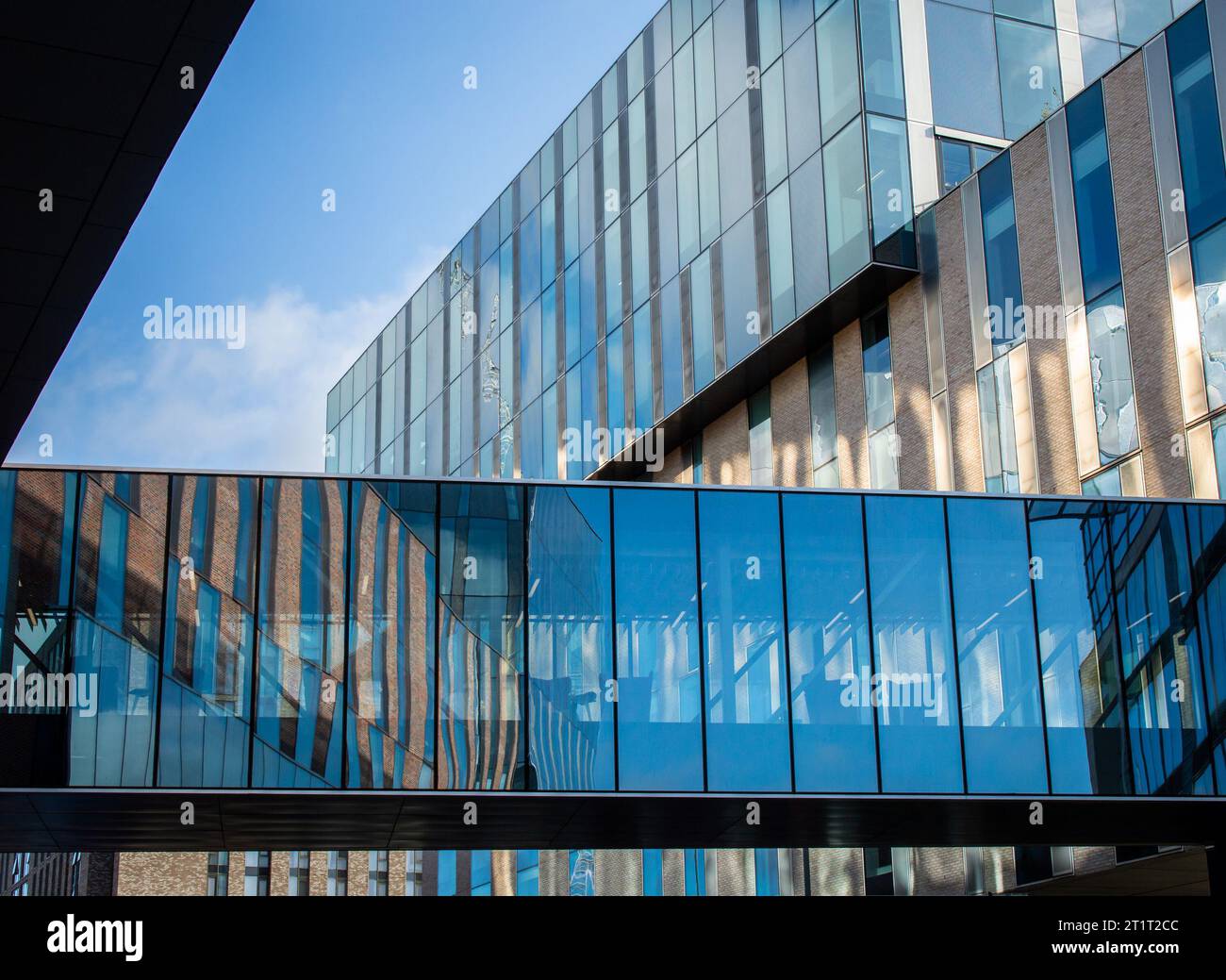 Belfast, Großbritannien, 29. September 2023. Straßenblick auf die Skybridge auf dem Campus der Ulster University Belfast. Stockfoto
