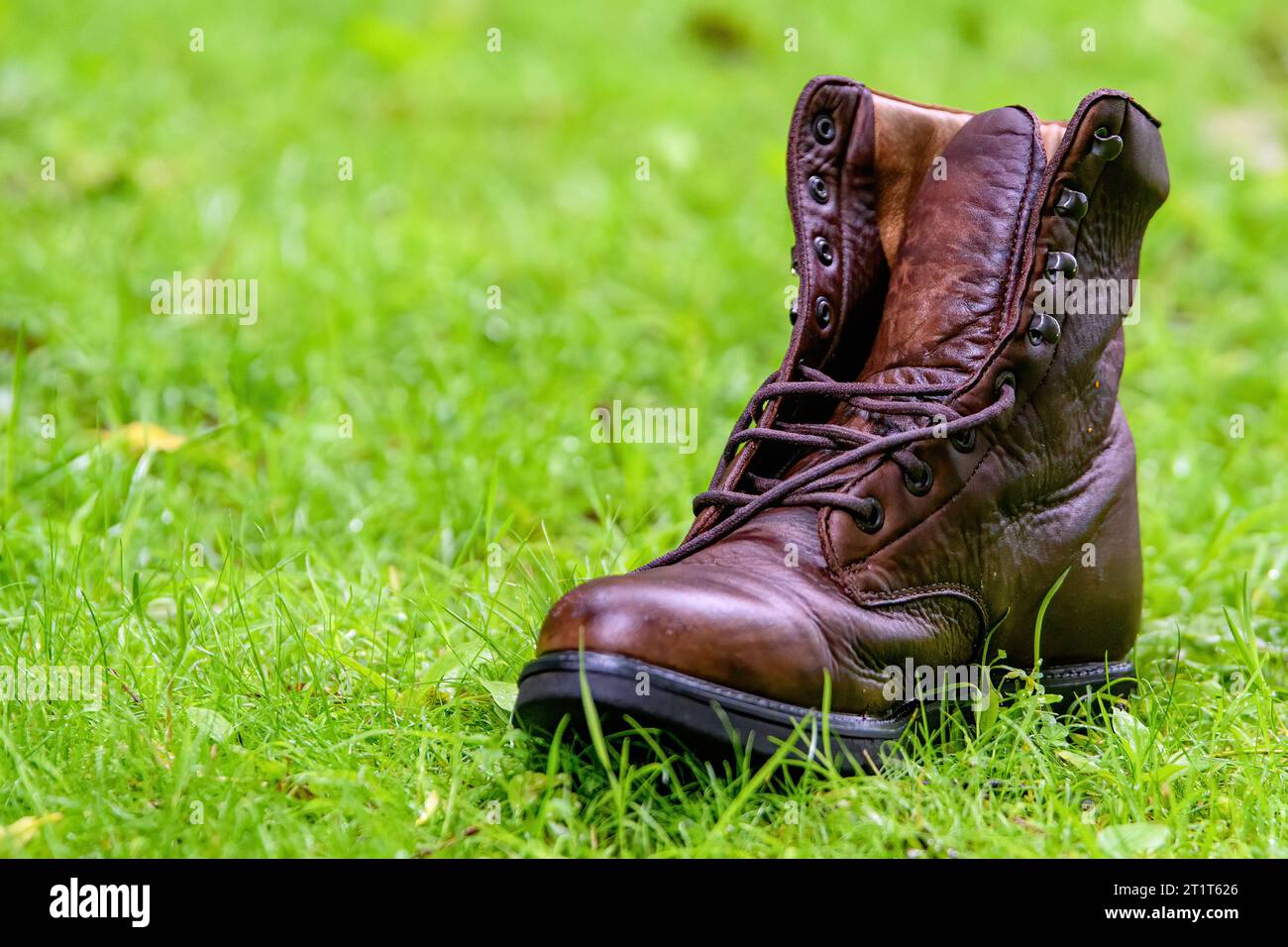 Ein brauner Lederstiefel, der auf grünem Gras verloren geht oder weggeworfen wurde. Stockfoto