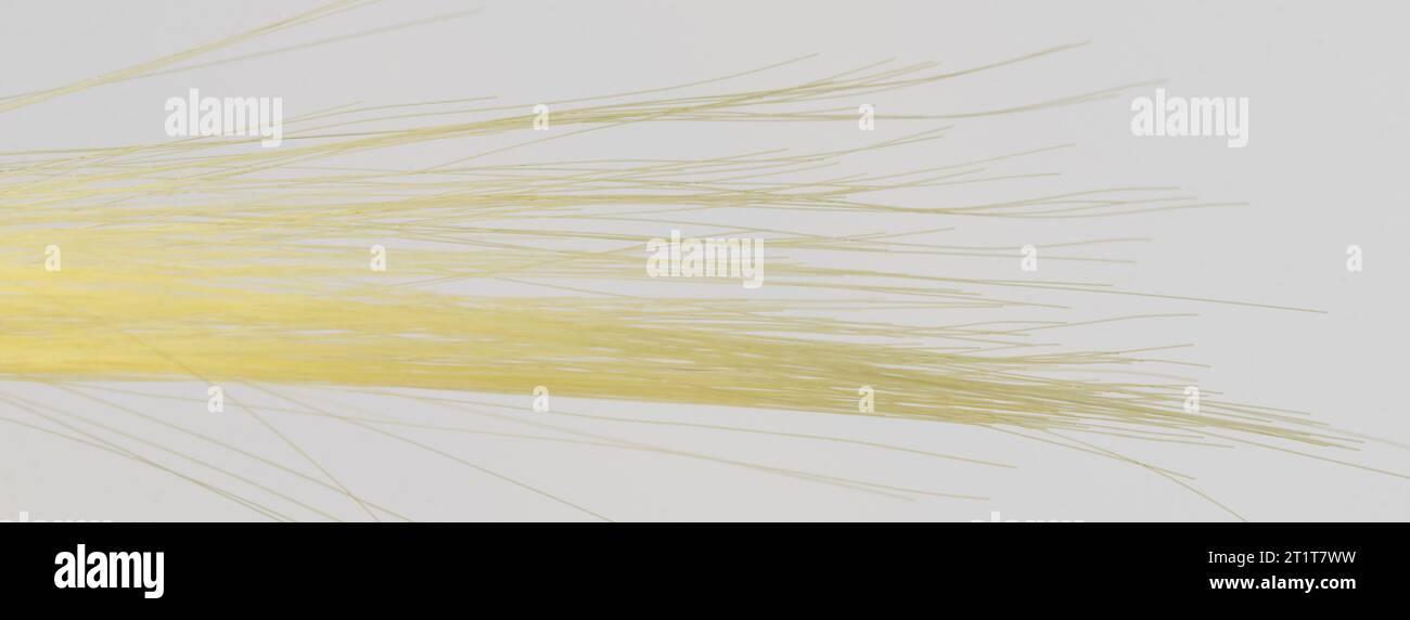 Gelbe Haarspitzen Makronahtansicht isoliert auf weißem Studiohintergrund Stockfoto