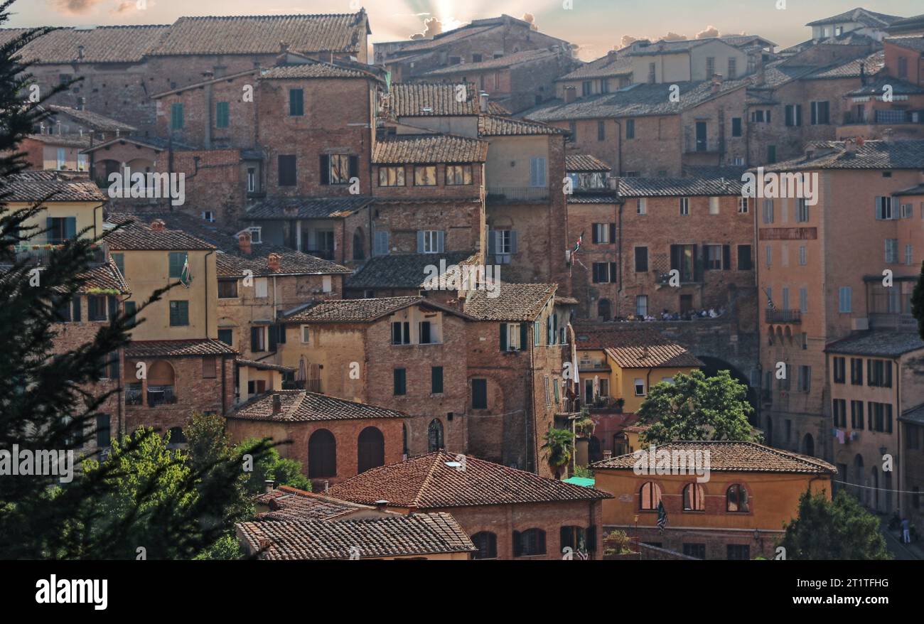 Siena, eine der beliebtesten und meistbesuchten Städte in der Toskana, Italien Stockfoto