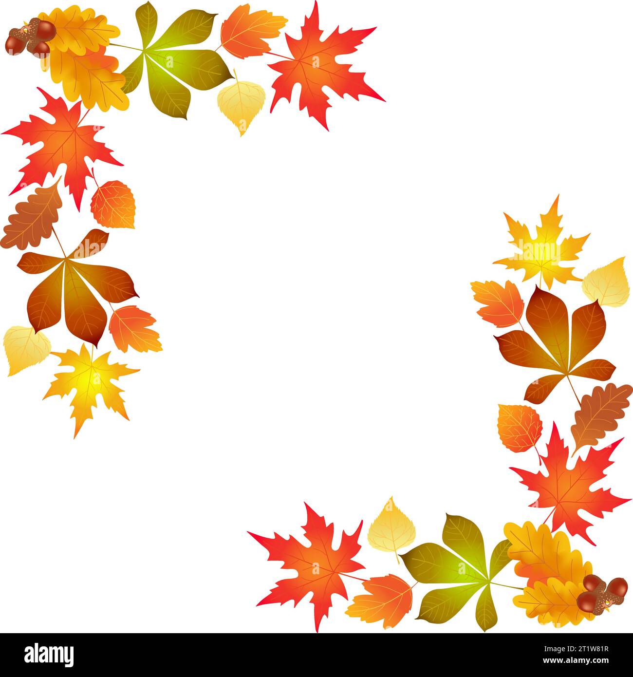 Herbstahorn, Eichenblätter Hintergrund Rahmen, Illustrationsvektor Stock Vektor