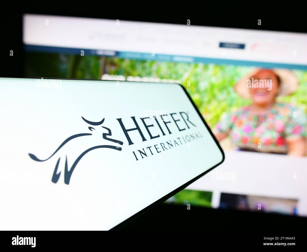 Mobiltelefon mit Logo der Entwicklungsorganisation Heifer International vor der Website. Konzentrieren Sie sich auf die Mitte des Telefondisplays. Stockfoto