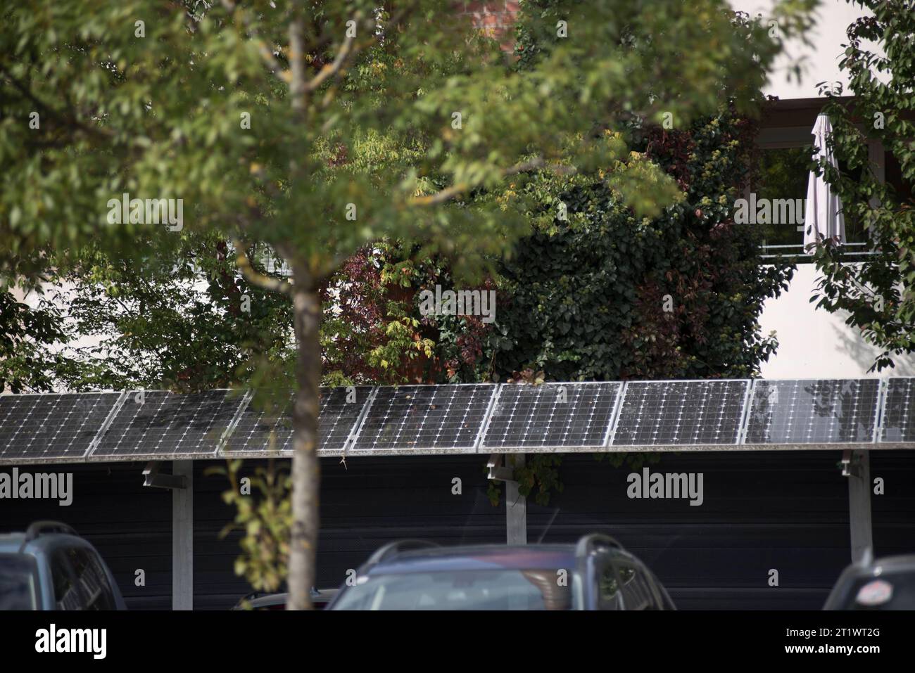 Solarmodul Und Photovoltaik Zur Erzeugung Von Nachhaltiger Energie Und Energie Solarpanel Und Photovoltaik Für Nachhaltige Energie Credit: Imago/Alamy Live News Stockfoto