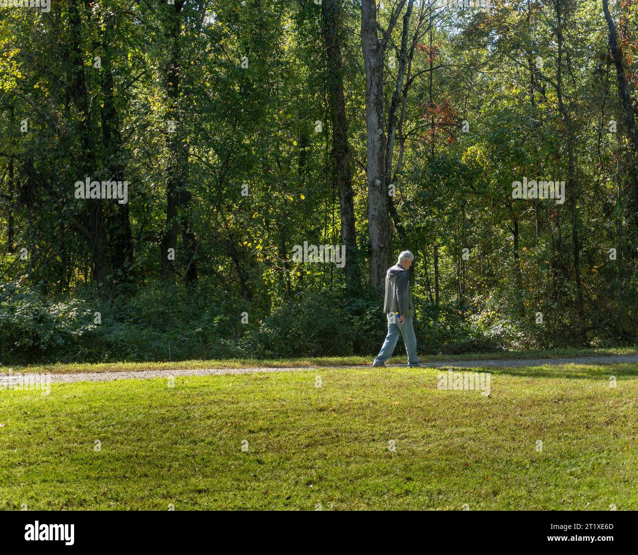 Ein älterer Mann, der allein auf einem Weg in einem Park läuft Stockfoto