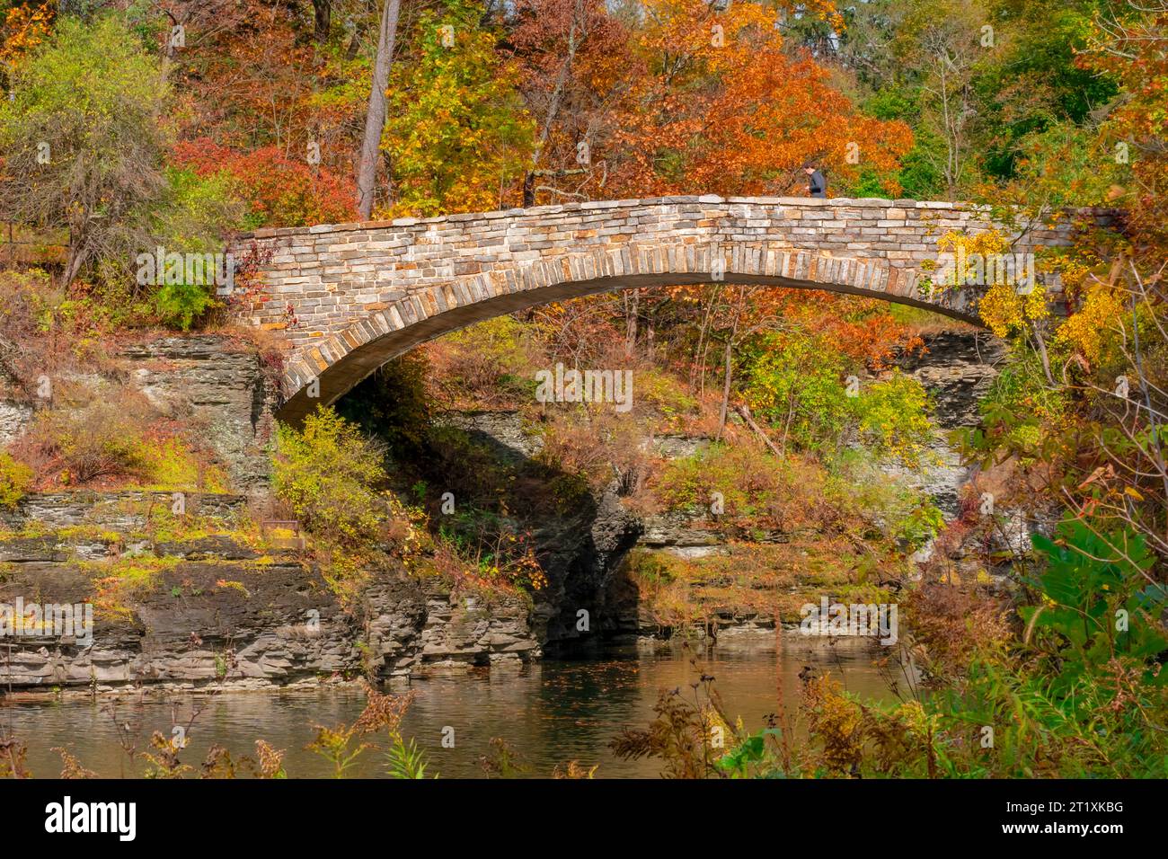 Herbstbild einer Brücke über den Beebe Lake in Ithaca NY. Stockfoto