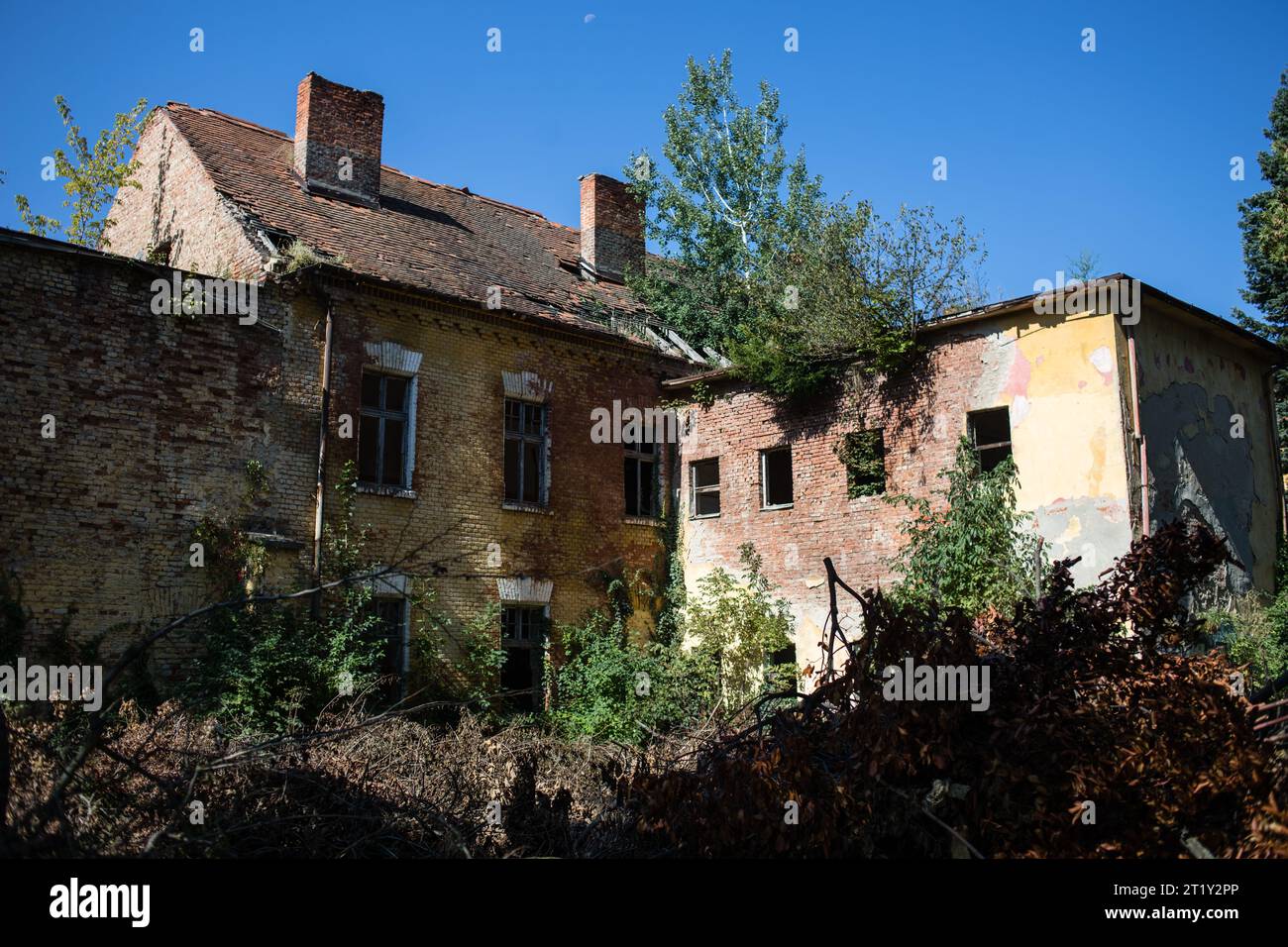 Ein weibliches Modell posiert in den Ruinen einer Militärbasis aus der Sowjetzeit in Szombatheley, Ungarn. Stockfoto