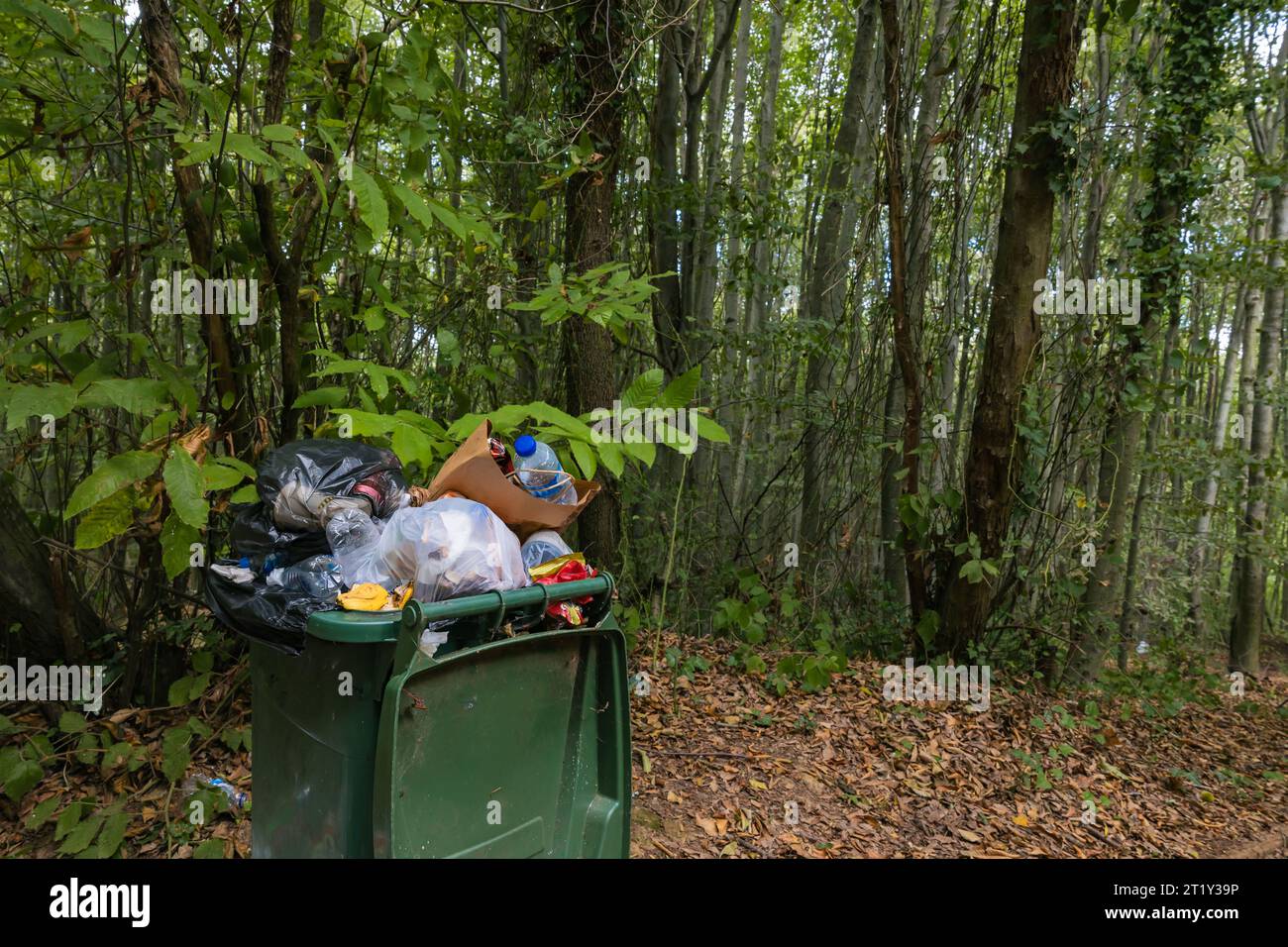 Voller Müll im Wald. Müllbelastung im Waldbegrifffoto. Der späte Hintergrund der Park- oder Waldpflege. Stockfoto