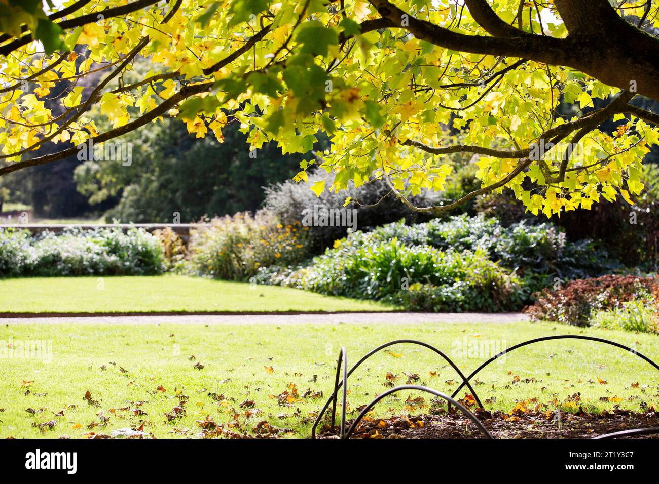 Leerer Wanderweg in den Gärten des Killerton Estate Devon Stockfoto