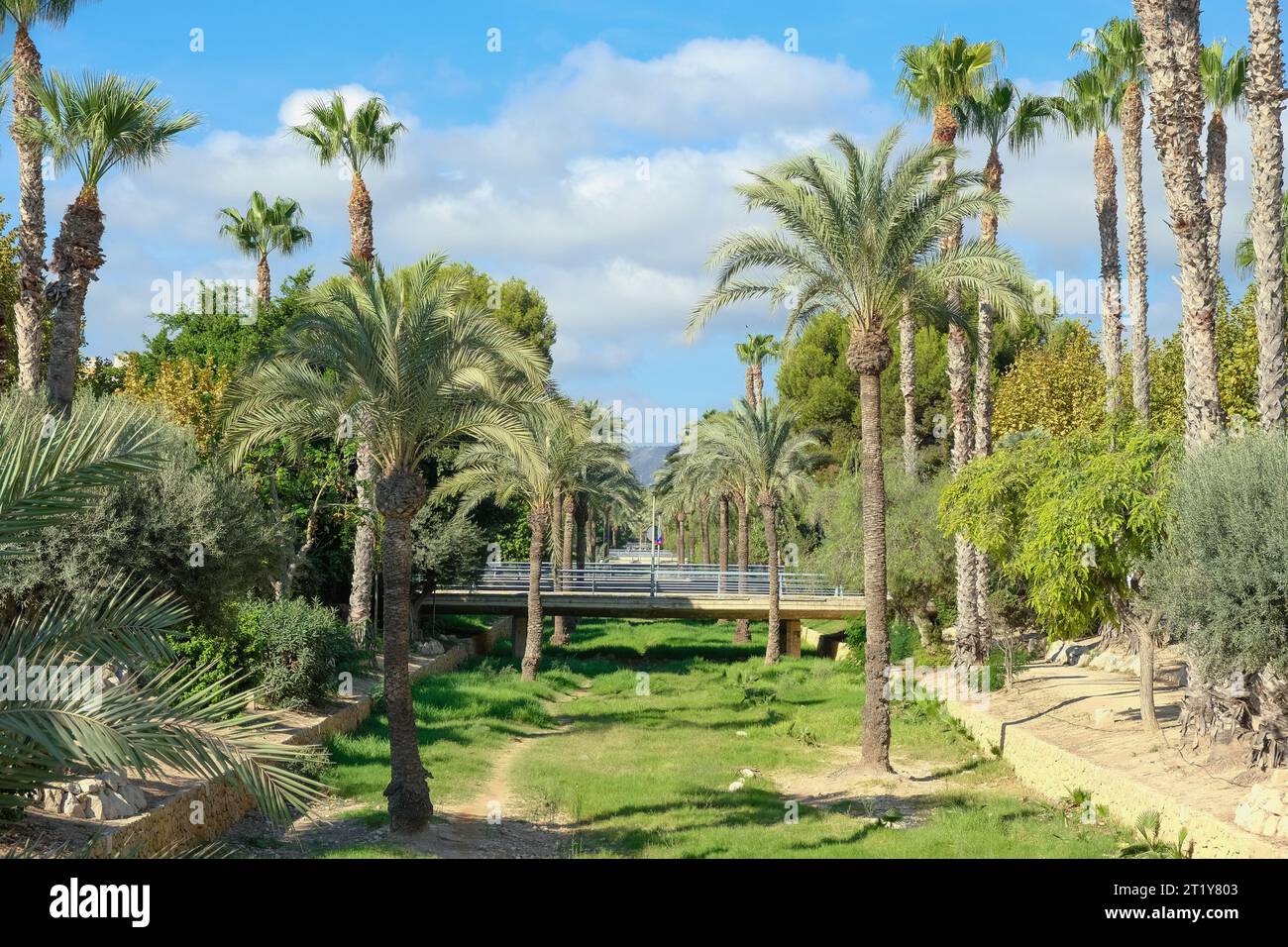 Blick auf das wunderschöne Albir Resort. Bulevard dels Musics mit Brücken und Palmen. Albir ist ein beliebtes Erholungsziel in der Nähe von Benidorm, L Stockfoto
