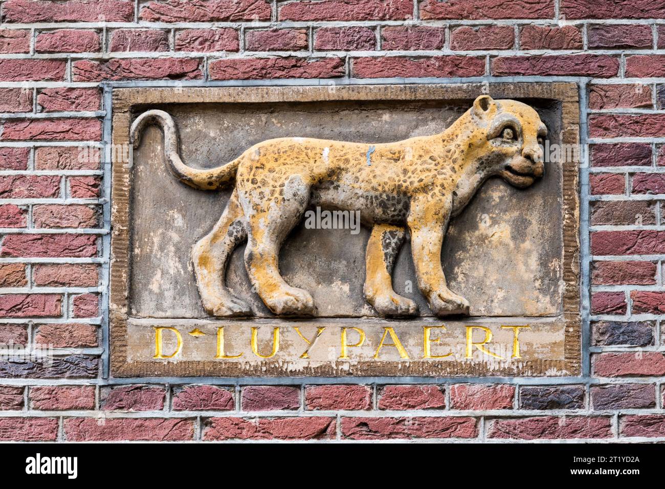 Giebelschnitzerei eines Leoparden aus dem 17. Jahrhundert, erhalten auf dem neueren Gymnasium Gereformeerd in der Keizergracht, Amsterdam. Stockfoto