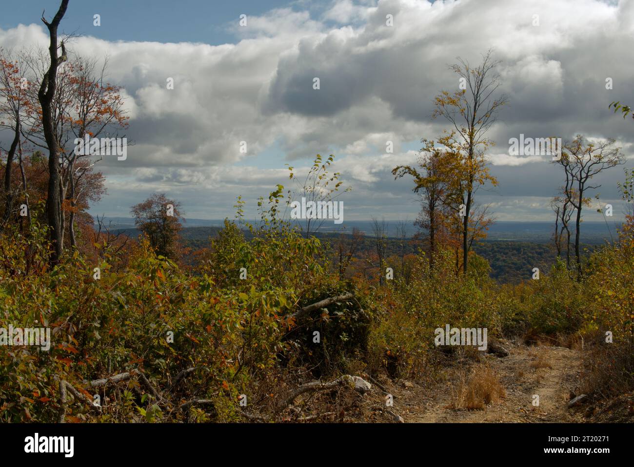 Blick vom Rattling Run Trail in St. Anthonys Wilderness Stockfoto