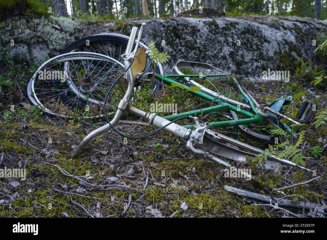 Verlassenes, kaputtes altes Fahrrad im Wald Stockfoto