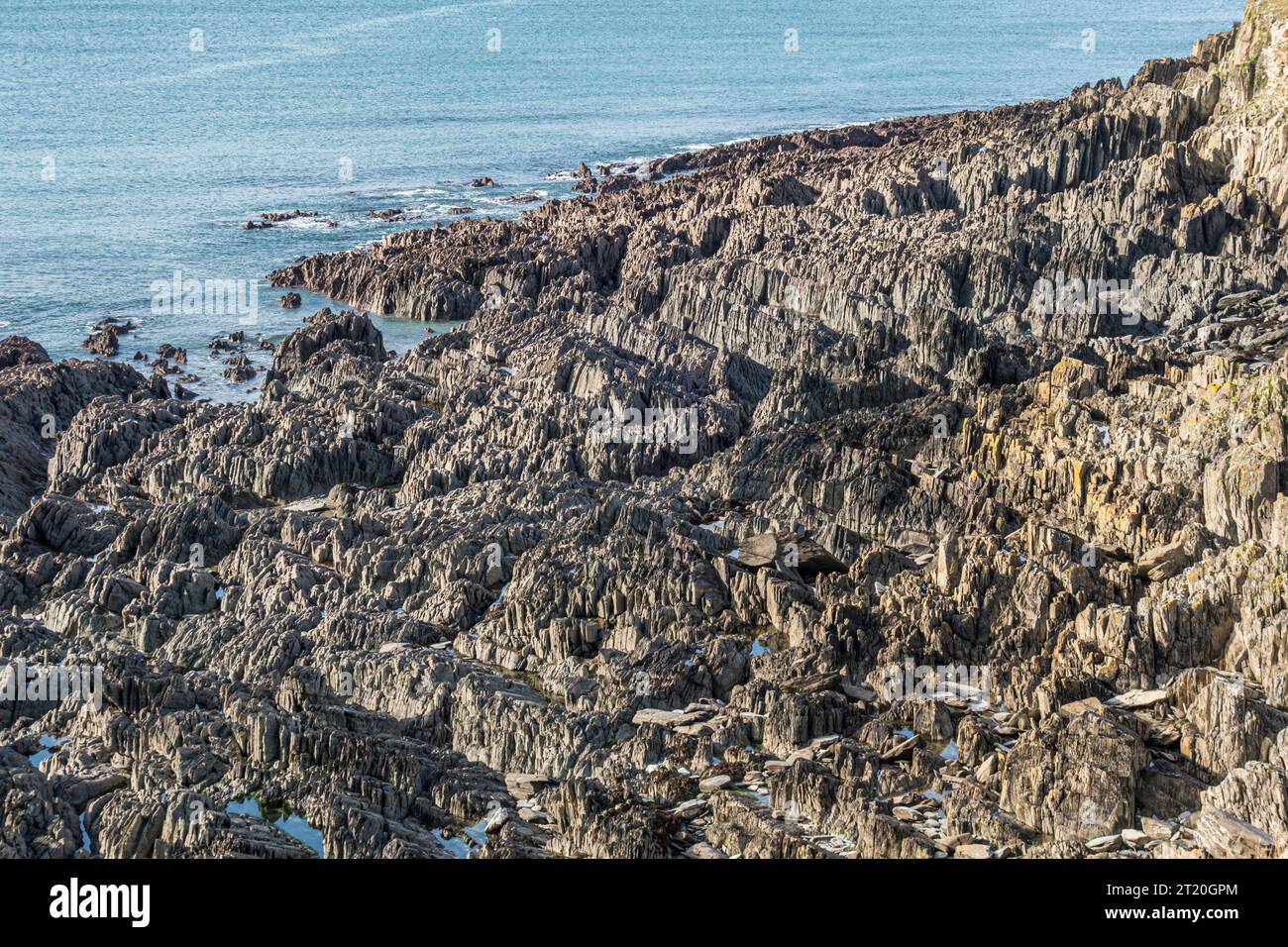 Die Morte-Schiefer an der North Devon-Küste bei Morte Point, nahe Woolacombe Stockfoto