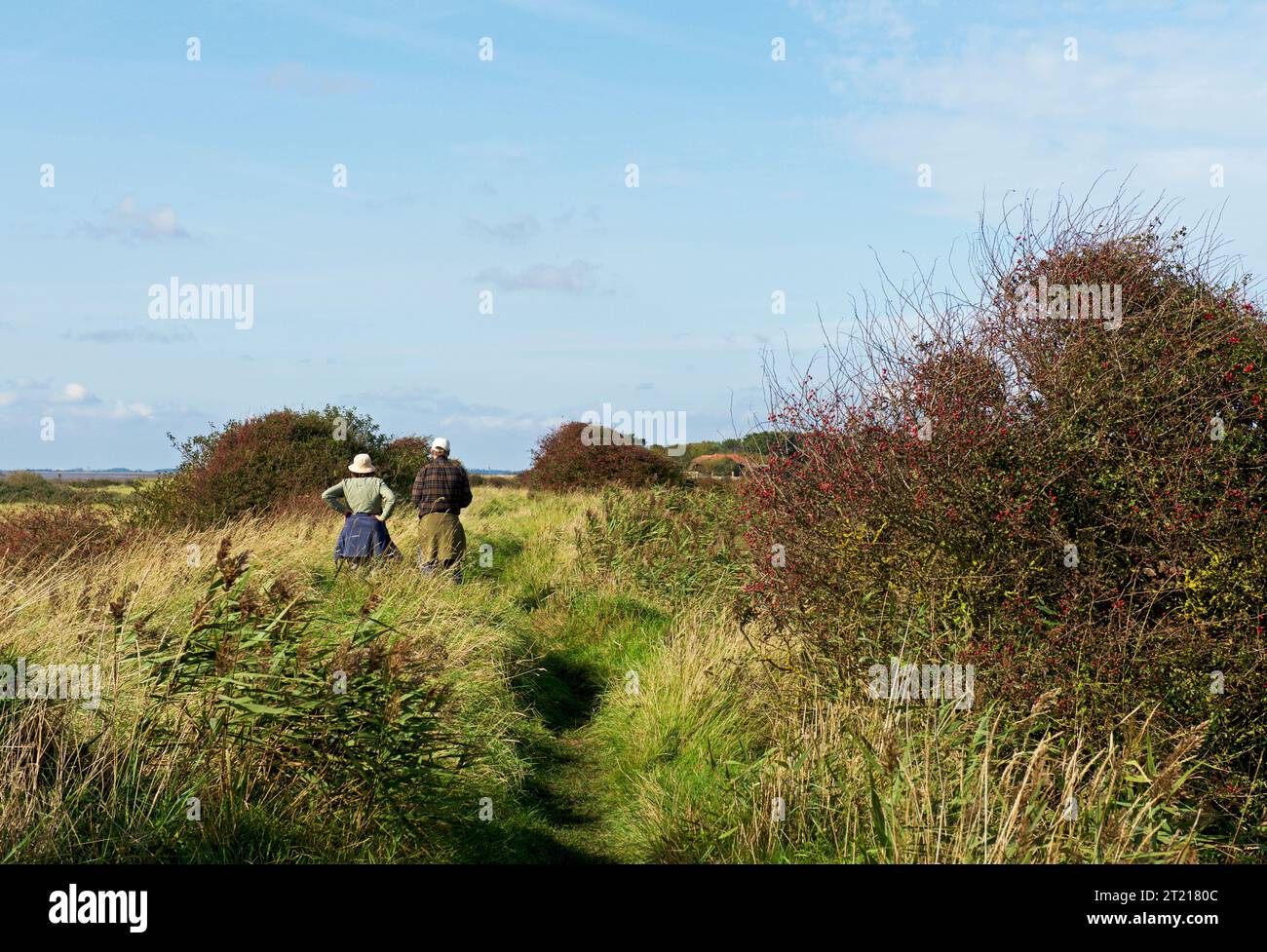 Sporn Head, Holderness, East Yorkshire, England, Großbritannien Stockfoto
