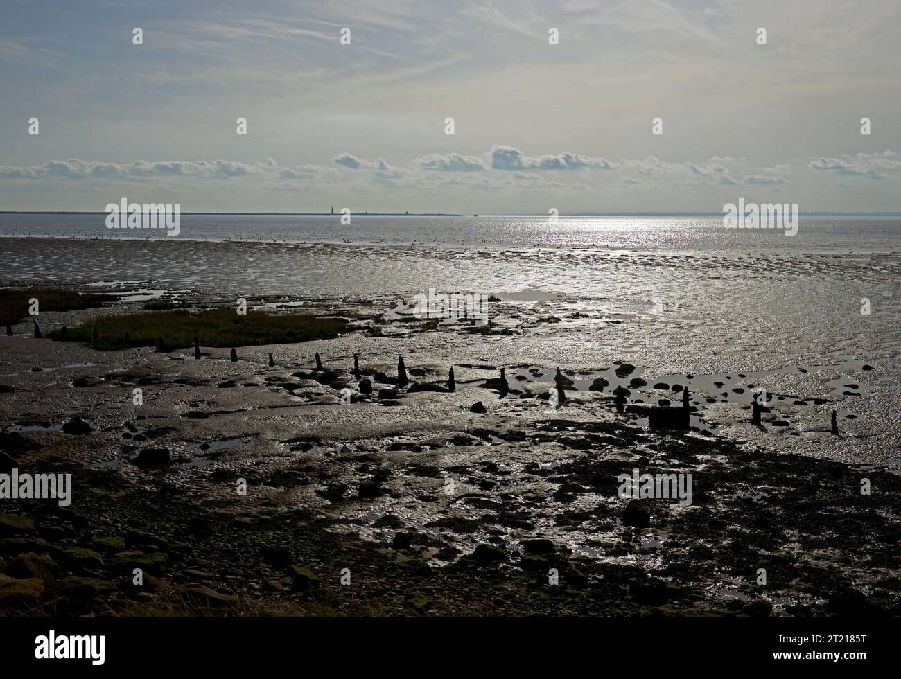 Ebbe an der Humber-Mündung bei Spurn Head, Holdedrness, East Yorkshire, England, Großbritannien Stockfoto