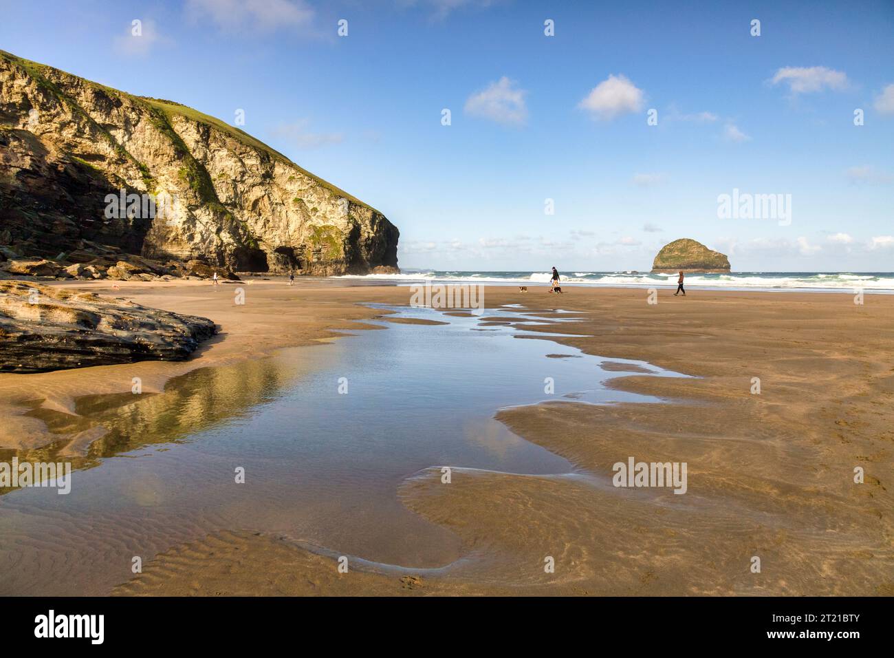15. Mai 2023: Trebarwith Strand, Cornwall, Vereinigtes Königreich - Hundewanderer am Strand bei Ebbe. Stockfoto