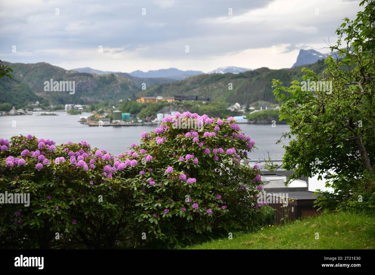 Sehenswürdigkeiten Stavanger, Maloy, Nordfjordeid City in Norwegen Stockfoto