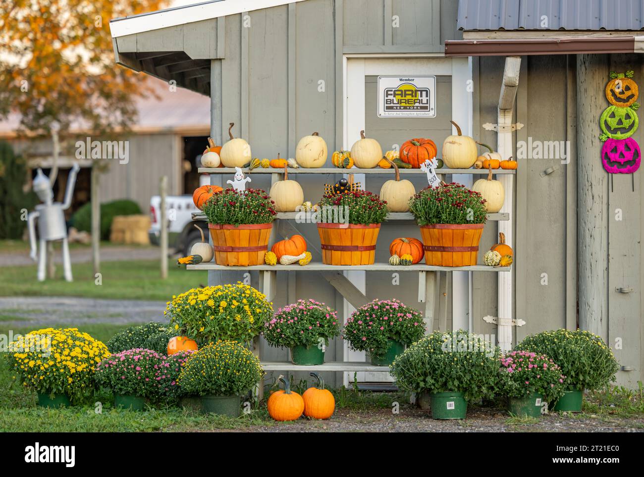 Herbstvorstellung frischer Produkte auf den Kruspki Farmen Stockfoto