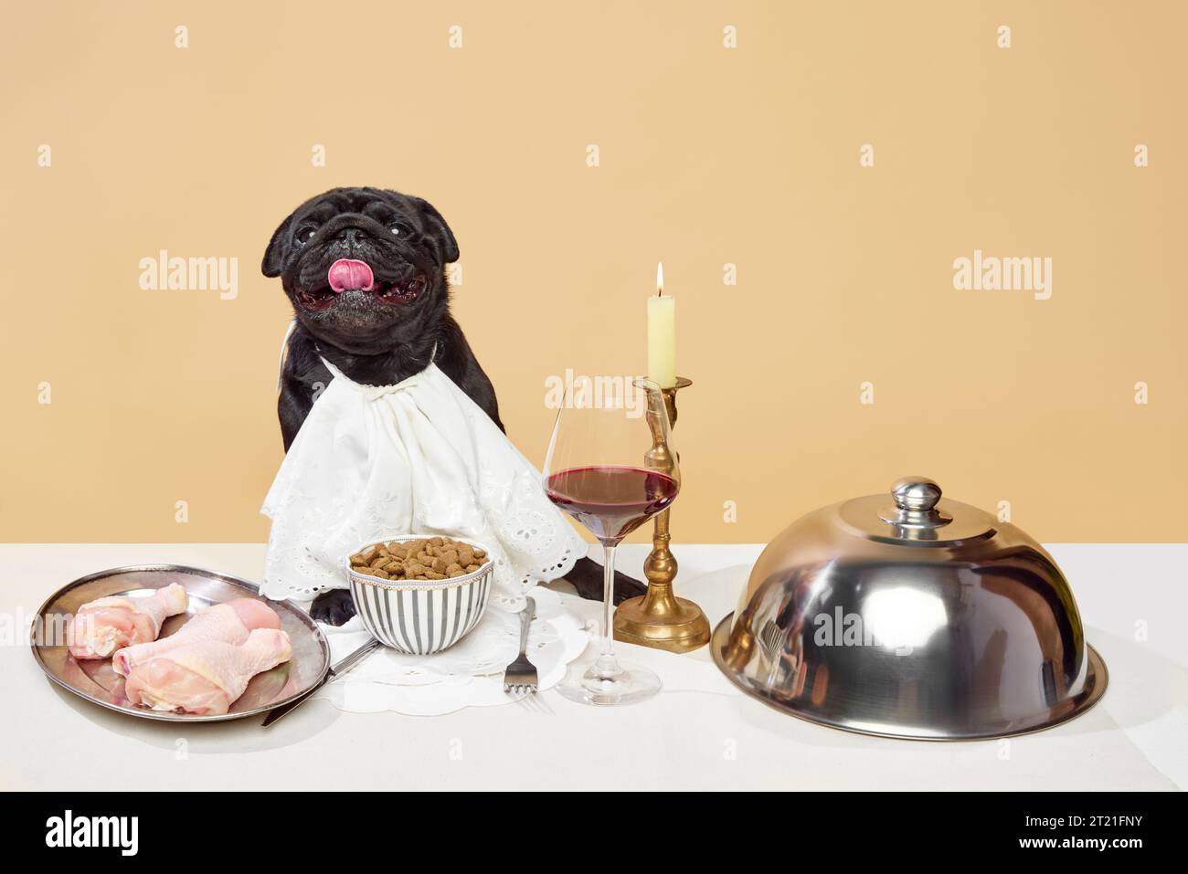 Porträt eines glücklichen aristokratischen Mops, Hunderennen, der auf Tisch mit verschiedenen köstlichen Mahlzeiten sitzt, Glas Wein über beigefarbenem Studio Hintergrund. Stockfoto