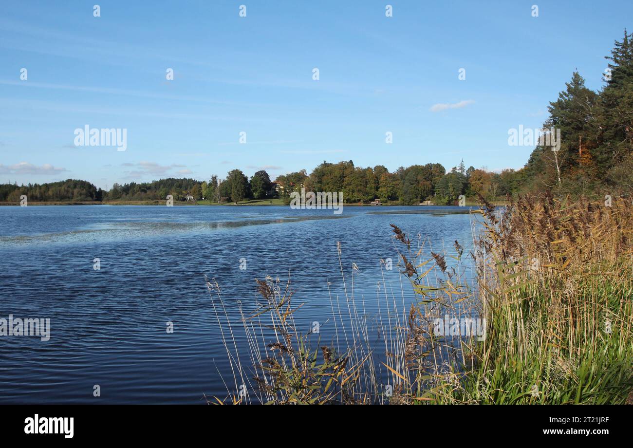 Tutzing, Bayern, Deutschland 16. Oktober 2023: Ein Herbsttag bei Tutzing an den Deixlfurter Weiher, Deixlfurter See, Deixlfurt, herbstlich, leichte Färbung, Laub, wandern, spazieren, Tourismus, Hotspot *** Tutzing, Bayern, Deutschland 16. Oktober 2023 Herbsttag bei Tutzing am Deixlfurter Weiher, Deixlfurter See, Deixlfurt, Herbst, helle Färbung, Laub, Wandern, Wandern, Tourismus, Hotspot Credit: Imago/Alamy Live News Stockfoto Tutzing, Bayern, Deutschland 16. Oktober 2023: Ein Herbsttag bei Tutzing an den Deixlfurter Weiher, Deixlfurter See, Deixlfurt, herbstlich, leichte Färbung, Laub, wandern, spazieren, Tourismus, Hotspot *** Tutzing, Bayern, Deutschland 16. Oktober 2023 Herbsttag bei Tutzing am Deixlfurter Weiher, Deixlfurter See, Deixlfurt, Herbst, helle Färbung, Laub, Wandern, Wandern, Tourismus, Hotspot Credit: Imago/Alamy Live News Stockfoto