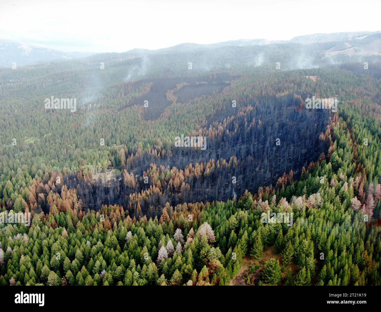 Erfinder: Red Rock Lakes NWR. Themen: Feuer; Wildbrand; Unterdrückung; Brandmuster; MT. . 1998 - 2011. Stockfoto