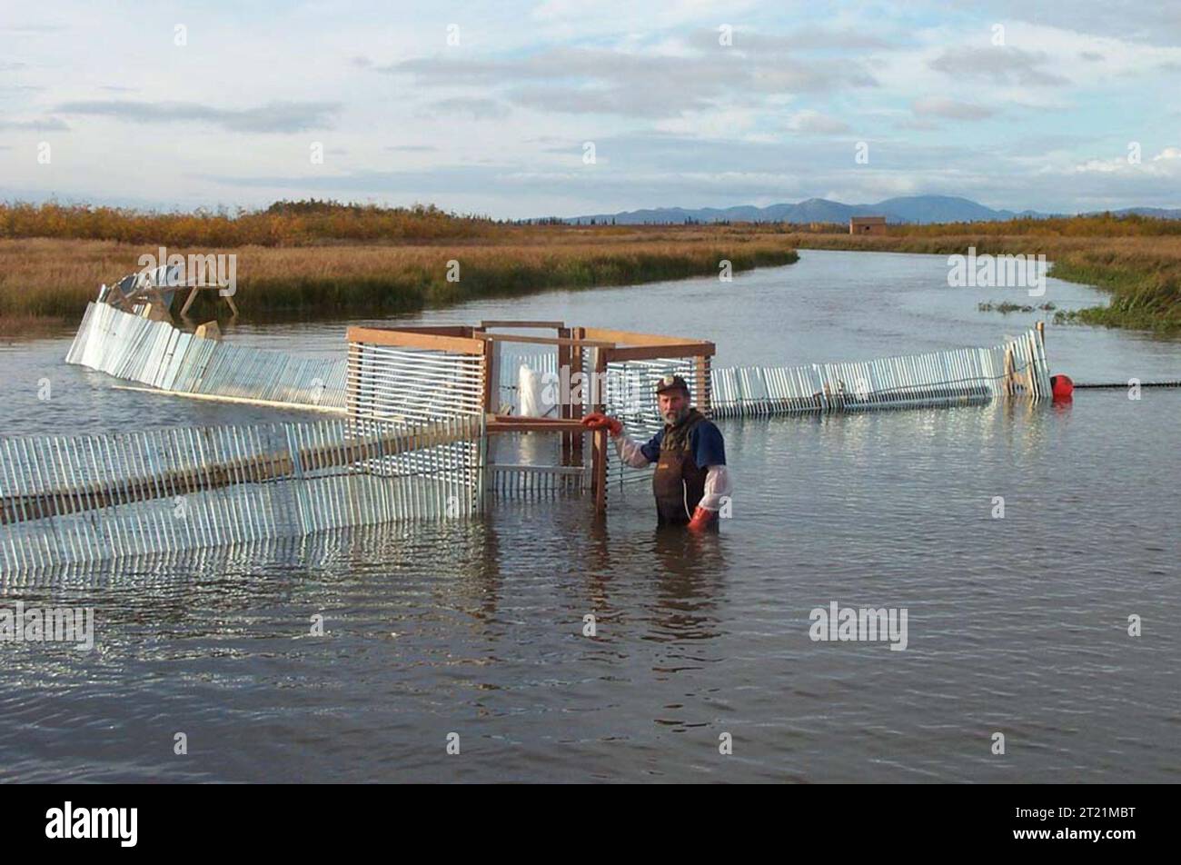 Whitefish Lake, Yukon Delta National Wildlife Refuge, dieses Bild wurde 2001 aufgenommen. Themen: Fischereimanagement; Außenstellen; Kenai Fishes and Wildlife Field Office; Kenai FO Gallery. . 1998 - 2011. Stockfoto