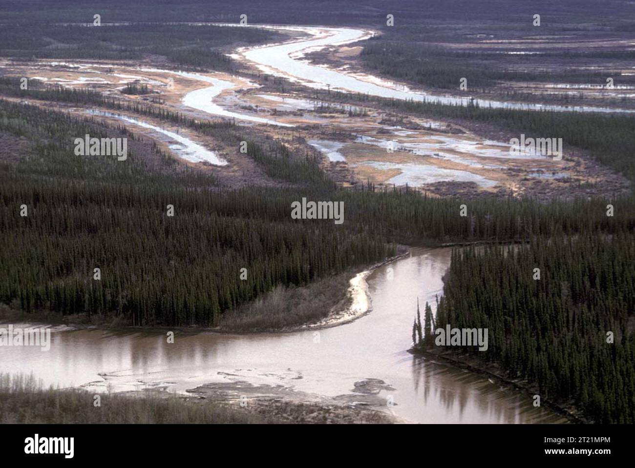 Der untere Sheenjek River, Teil des Yukon Flats National Wildlife Refuge, bietet unberührte Ausblicke auf einen wilden und malerischen Fluss, der durch Alaskas unberührte Landschaft fließt. Es ist ein lebenswichtiger Lebensraum für Wildtiere und eine wichtige Wasserstraße für die Region. Stockfoto
