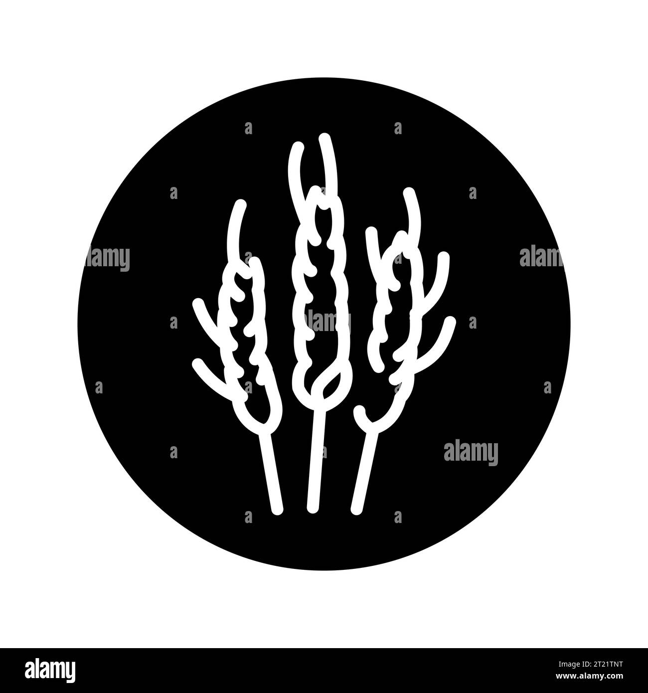 Schwarzes Liniensymbol für Weizenohren. Piktogramm für Webseite, mobile App, Werbeaktion. Stock Vektor