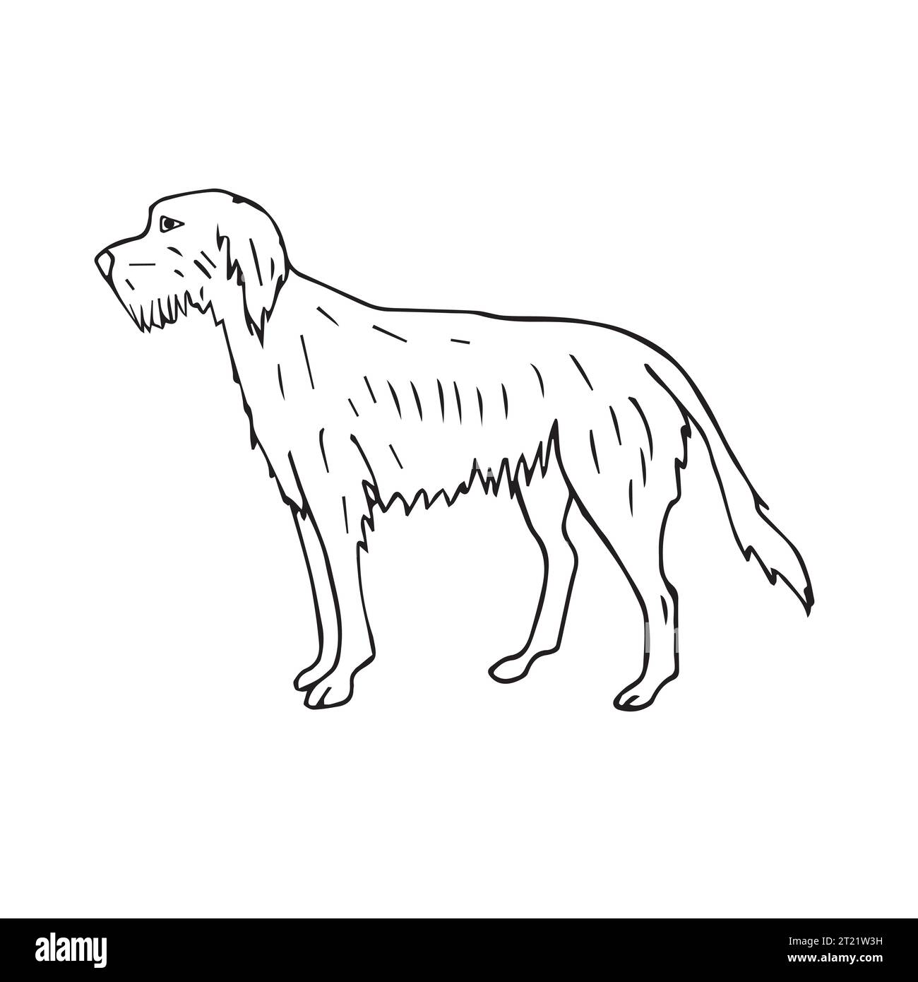 Vektor Hand gezeichnete Kritzelskizze Wolfshund Hund isoliert auf weißem Hintergrund Stock Vektor