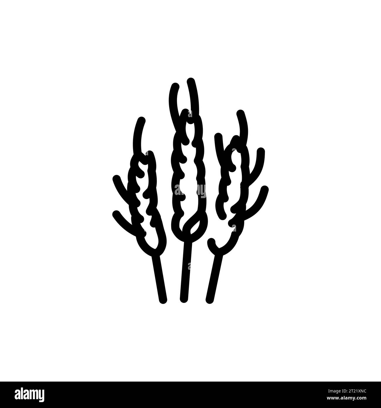 Schwarzes Liniensymbol für Weizenohren. Piktogramm für Webseite, mobile App, Werbeaktion. Stock Vektor