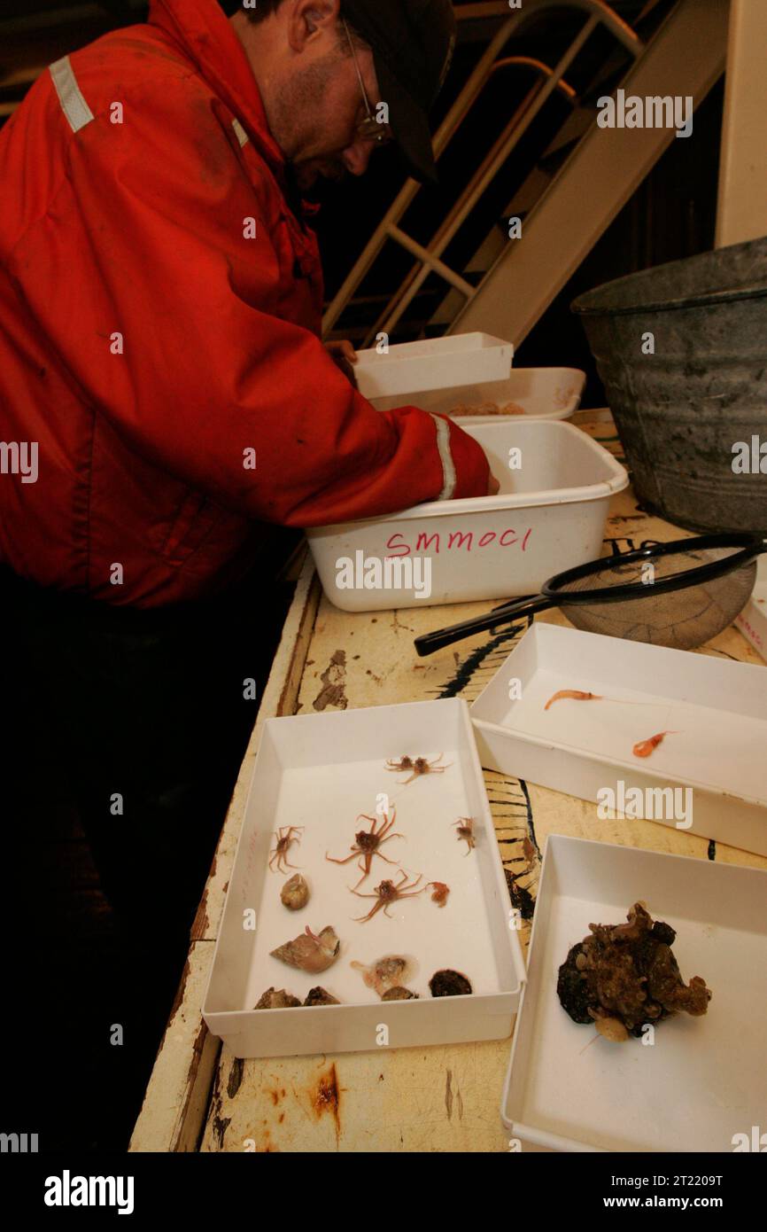 Die Forschung auf den Shumigan Islands konzentriert sich auf die Beziehung zwischen Küstenökosystemen und Meeresarten, mit einem Schwerpunkt auf der biologischen Vielfalt und dem Artenschutz im Alaska Maritime National Wildlife Refuge. Stockfoto