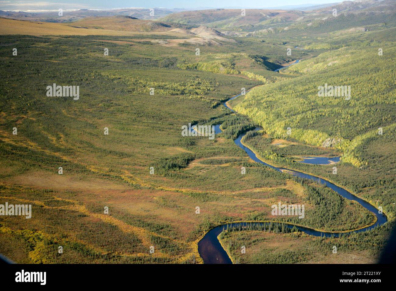 Der Kanuti River an der Ostgrenze des Kanuti National Wildlife Refuge fließt durch verschiedene Ökosysteme, einschließlich Tundra, Feuchtgebiete und Uferzonen. Dieses Gebiet ist für die Beobachtung von Wildtieren von Bedeutung und trägt zur Artenvielfalt der Region bei. Stockfoto