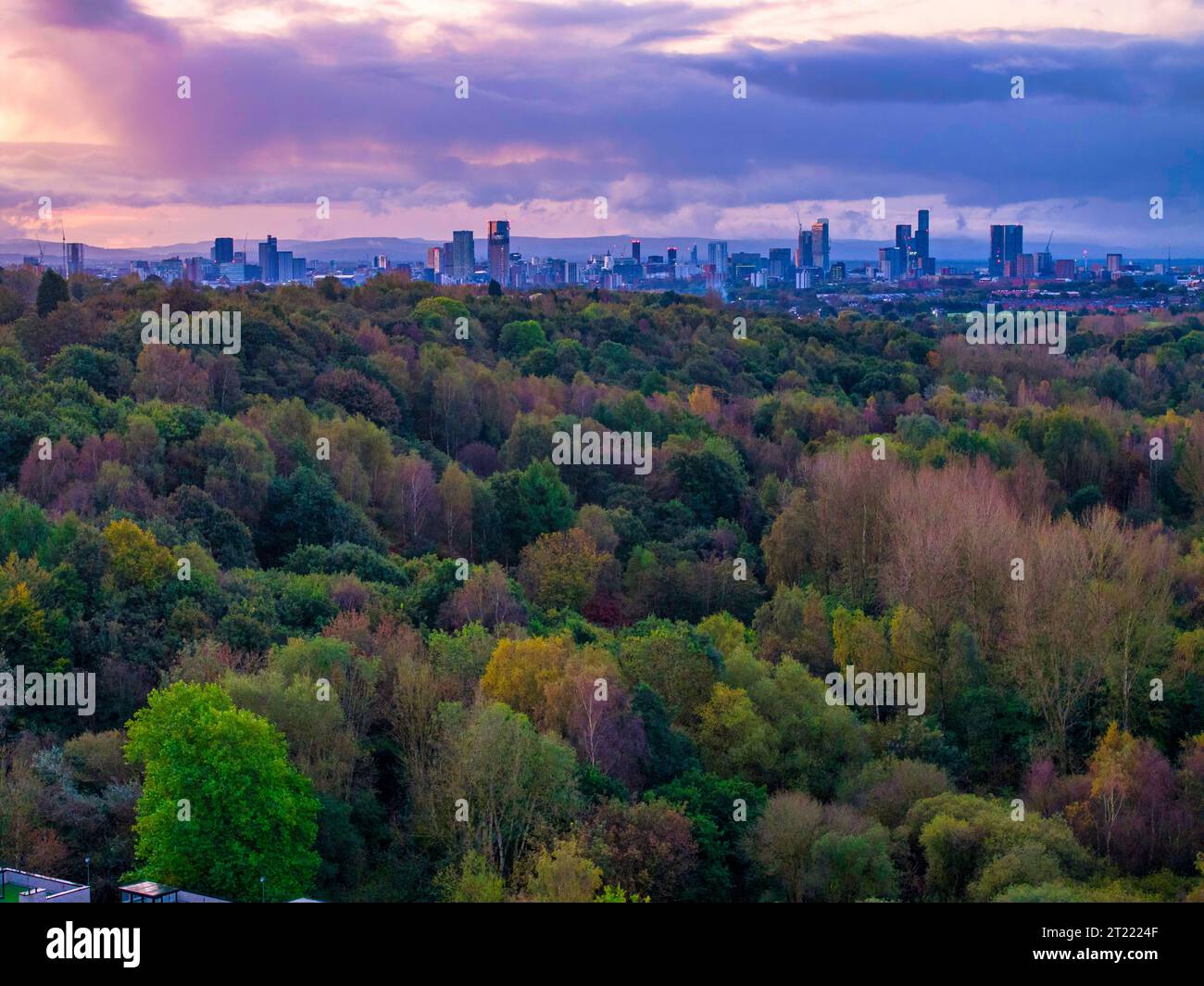 Manchester Skyline aus einem Park in der Nähe Stockfoto