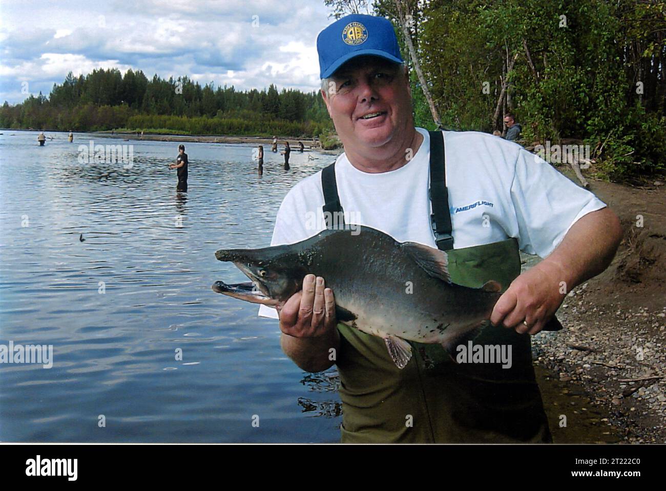 Rosafarbener Lachs, auch Buckellachs genannt, der in Alexander Creek, Alaska gefangen wird und während der Laichsaison den charakteristischen Buckel eines Reifen Mannes zeigt. Stockfoto