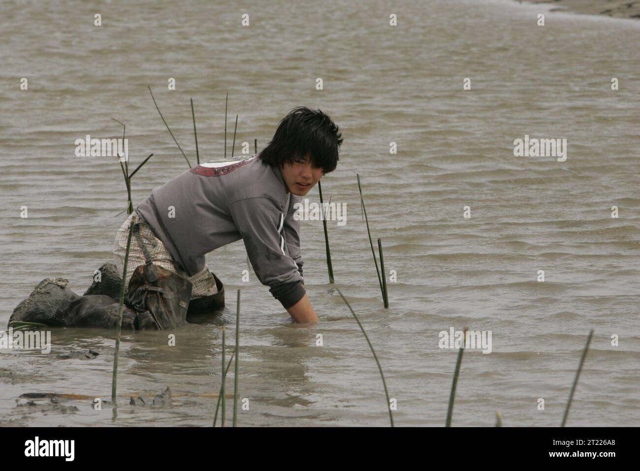 Junge Männer waten mit Händen und Knien durch das Wasser, während sie Sumpfgras im Big Branch National Wildlife Refuge Pflanzen. Themen: Menschen mit der Natur verbinden; Lebensraumsanierung; Pflanzen; Freiwillige. Lage: Louisiana. Fish and Wildlife Service Site: GROSSES NATURSCHUTZGEBIET VON MARSH. . 1998 - 2011. Stockfoto