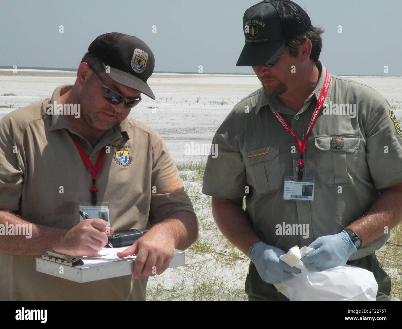 Am 15. Juli 2010 dokumentieren die USFWS-Biologen Nate Caswell und Joe Metzmeier eine tote Möwe auf Ship Island, Teil ihrer langen Vermessungstage während der Ölkatastrophe von Deepwater Horizon. Themen: Deepwater Horizon Ölpest, Mitarbeiter (USFWS), Vermessung. Stockfoto
