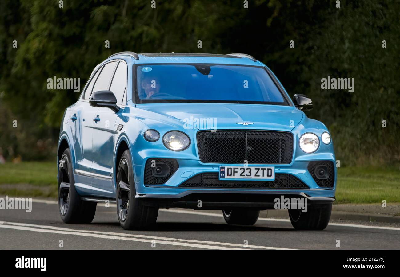 Bicester, Oxon., UK - 8. Oktober 2023: 2023 blauer Bentley Bentayga V8 Oldtimer auf einer englischen Landstraße. Stockfoto