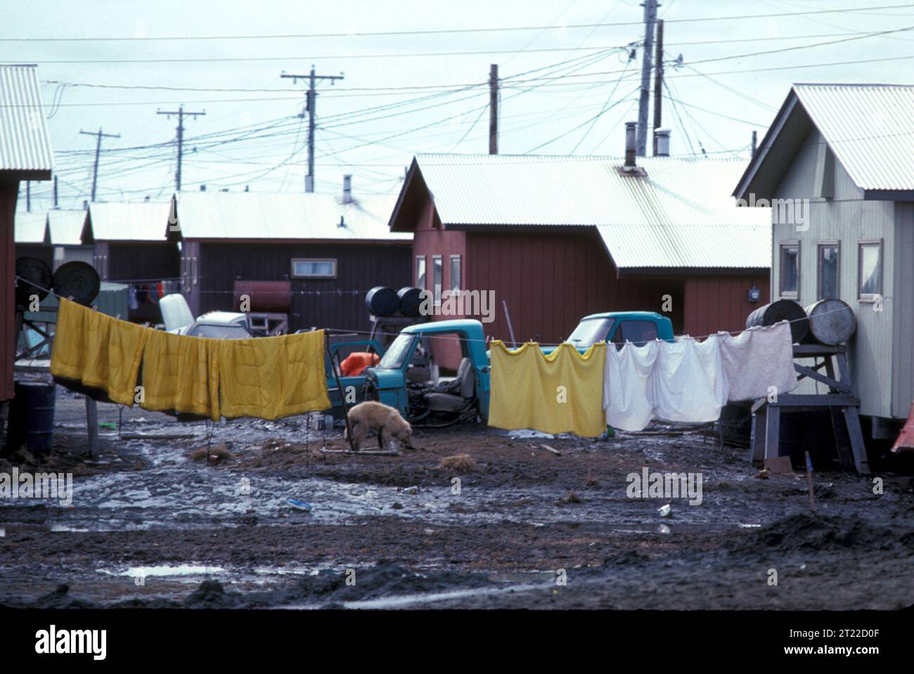 In Bethel, Alaska, befindet sich das Büro des Yukon Delta National Wildlife Refuge, das als zentrale Anlaufstelle für Naturschutzmaßnahmen in der Region dient. Stockfoto