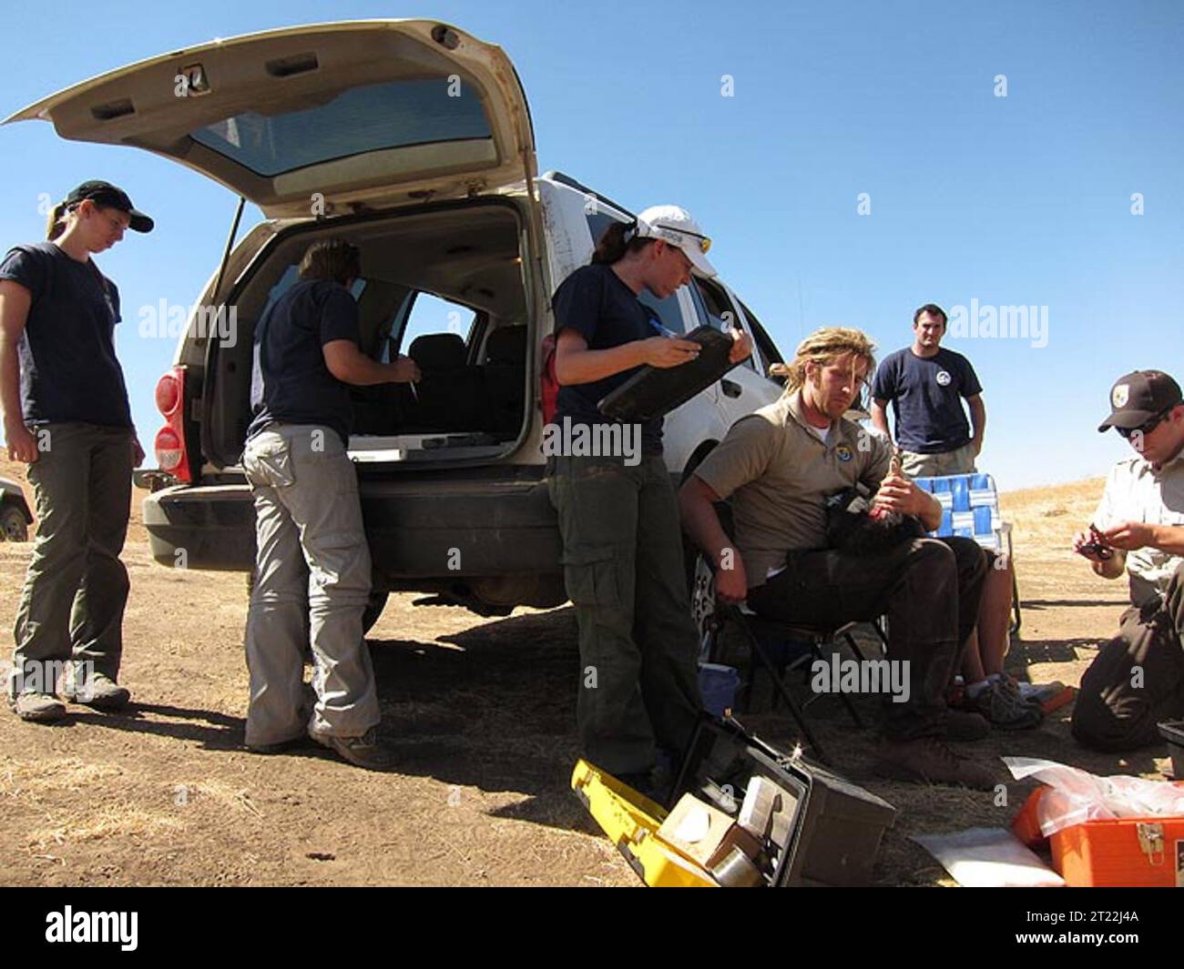 USFWS Wildtierbiologen verwalten die Populationen der kalifornischen Kondor. Themen: Wildtierbewirtschaftung; gefährdete Arten; Biologen (USFWS); Wissenschaftliches Personal (USFWS). Stockfoto