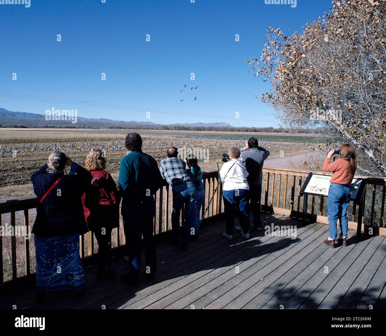 Vogelbeobachter auf einem Deck beobachten Vögel mit Fernglas und Kameras. Themen: Erholung; Wildlife Refugies; Menschen mit der Natur verbinden; Vogelbeobachtung; Vögel; Fotografie; Tierbeobachtung. Lage: New Mexico. Fish and Wildlife Service Site: Bosque del Apache National Wildlife Refuge. . 1998 - 2011. Stockfoto