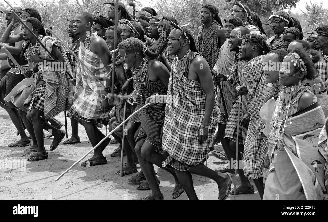 Stammesleute von Maasai Mara singen, tanzen und unterhielten die Besucher mit ihren traditionellen Bräuchen in ihrem Dorf Stockfoto