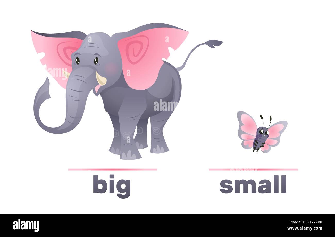 Antonyme und Gegensätze, groß und klein. Elefant und Schmetterling. Englischer Vokabular, Lehrkarte für Kinder. Karte mit Bild und Text Stock Vektor
