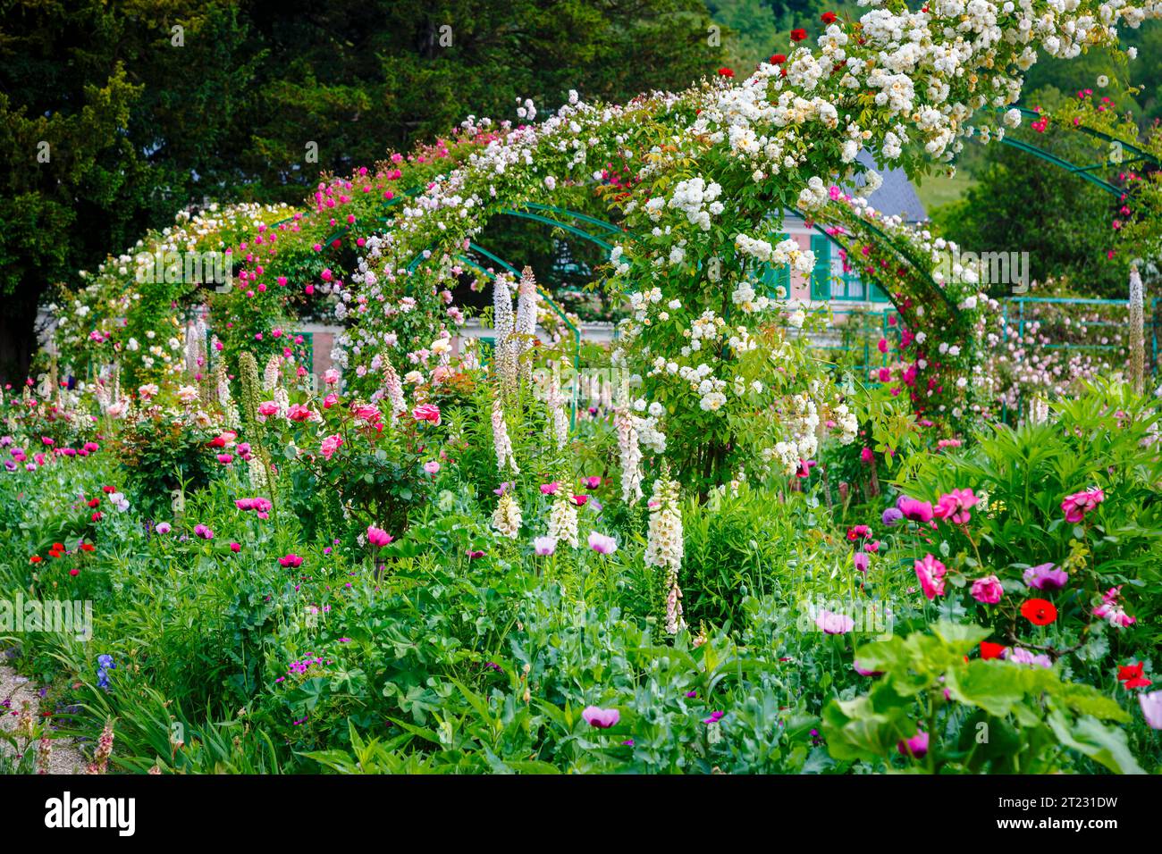 Rosenbögen und farbenfrohe Sommerblumenränder in Giverny, dem Garten des französischen impressionistischen Malers Claude Monet, Normandie, Nordfrankreich Stockfoto