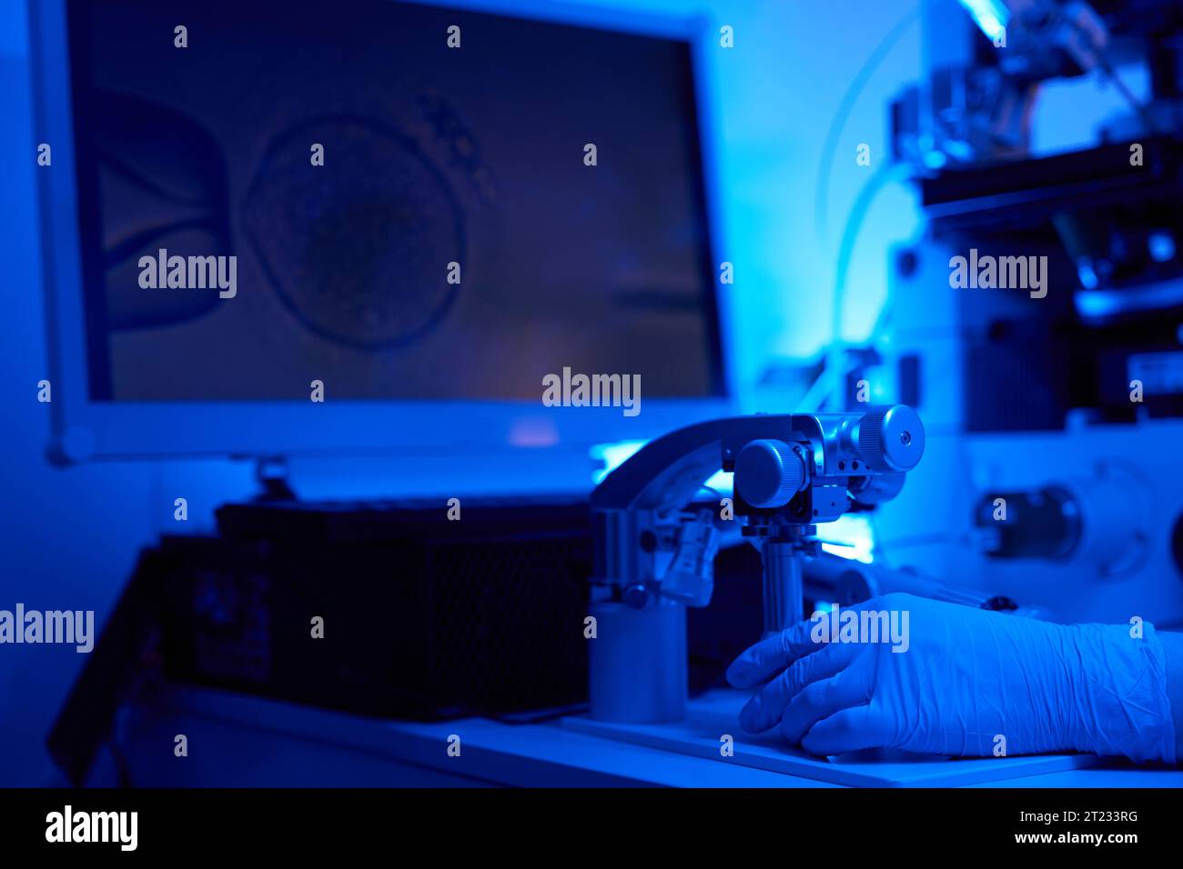 Reproduktionswissenschaftler, der ICSI ausführt, wird auf dem Computerbildschirm angezeigt Stockfoto