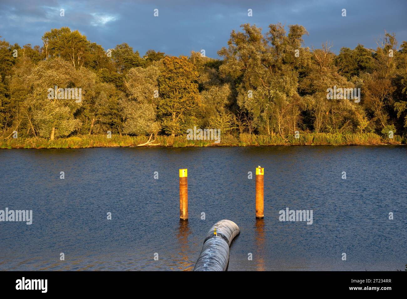 Raffinationsrohr, das in den Fluss fließt Stockfoto