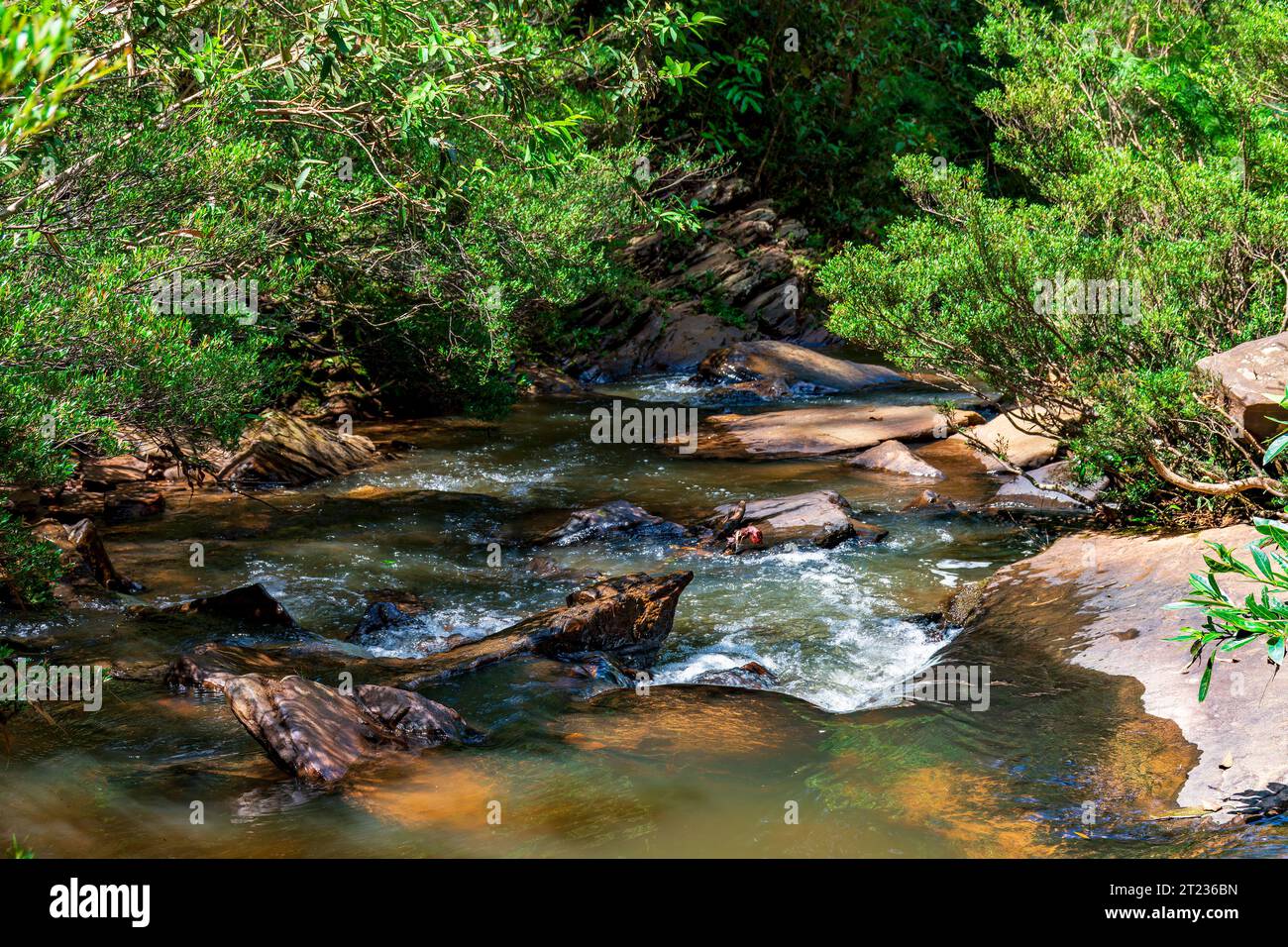 Kleiner und friedlicher Fluss, der durch Waldvegetation in Minas Gerais, Brasilien, fließt Stockfoto