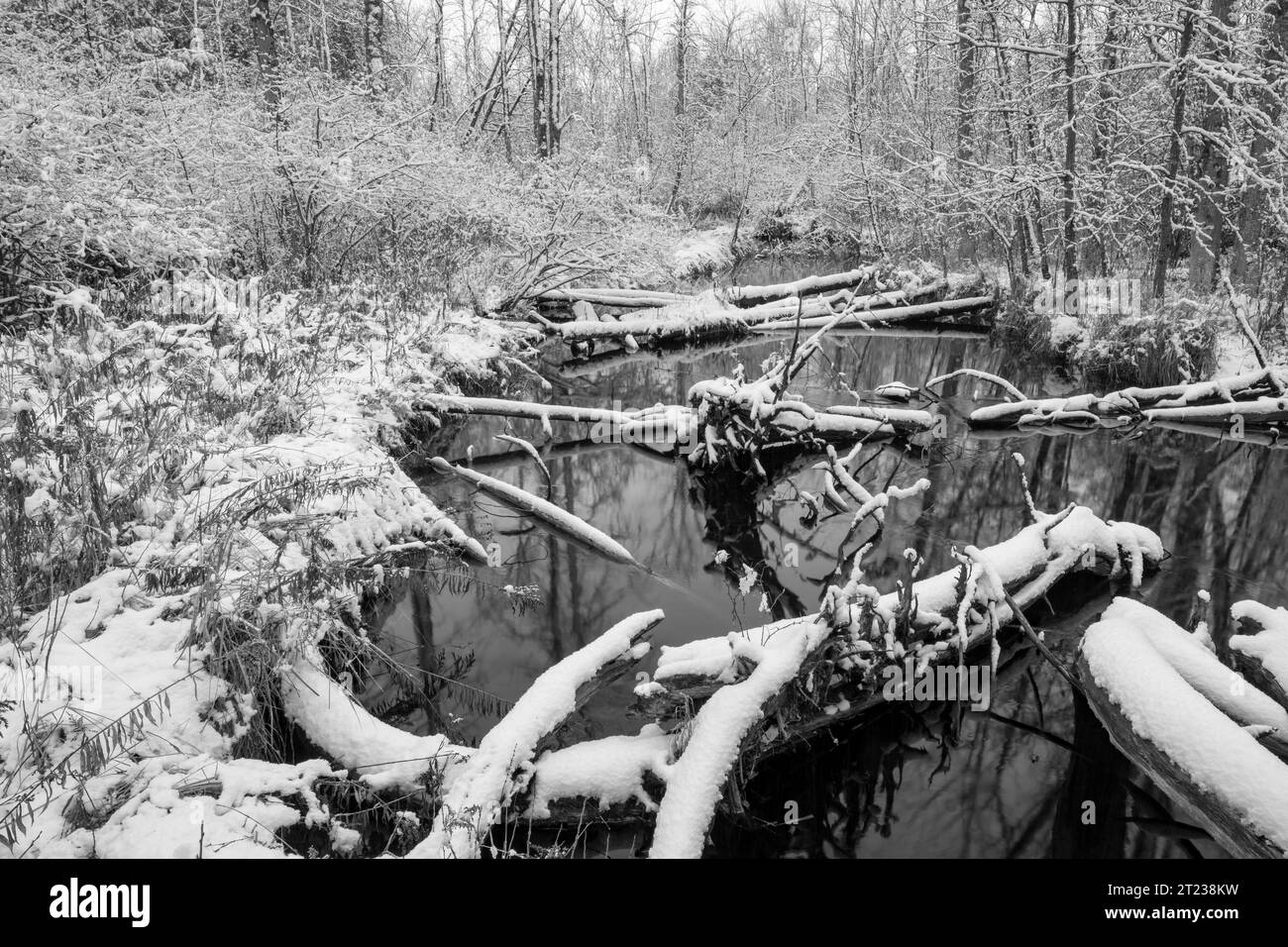Schwarz-weiß ist mein Lieblingsmedium, und der Winter eignet sich für dieses Medium, wie Sie in diesen Bildern sehen können, die ich in Door County Wisconsin erstellt habe. Stockfoto