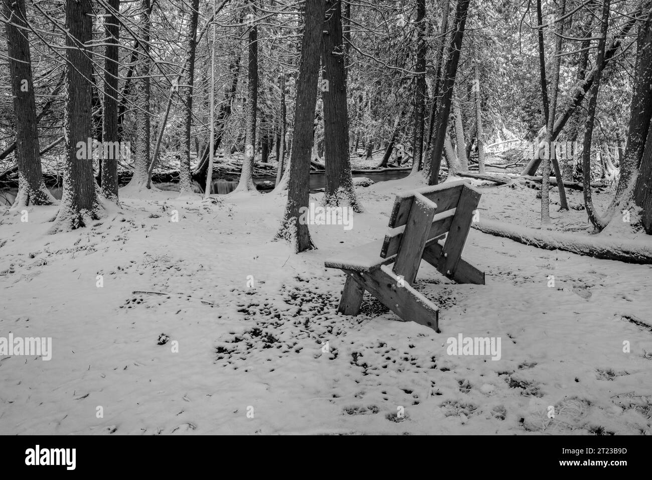 Schwarz-weiß ist mein Lieblingsmedium, und der Winter eignet sich für dieses Medium, wie Sie in diesen Bildern sehen können, die ich in Door County Wisconsin erstellt habe. Stockfoto