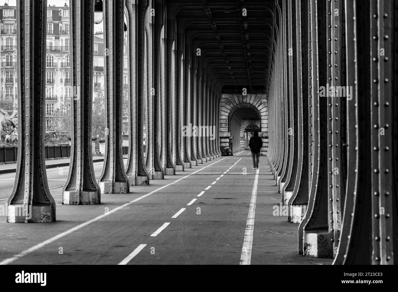 Lange Reihe von Metallsäulen der erhöhten U-Bahn. Bir-Hakeim-Brücke in Paris, Frankreich. Schwarzweißbild. Stockfoto